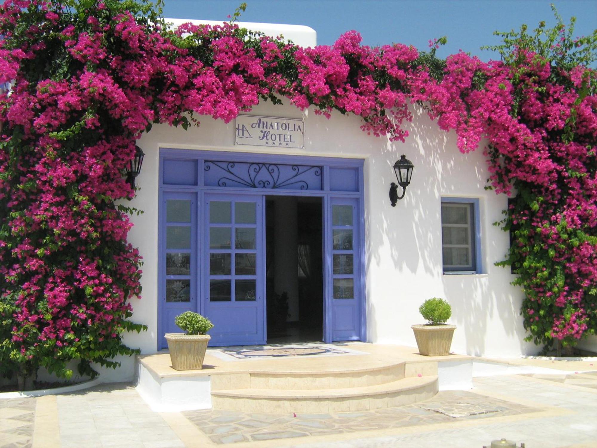 Hotel Anatolia Ano Mera Extérieur photo