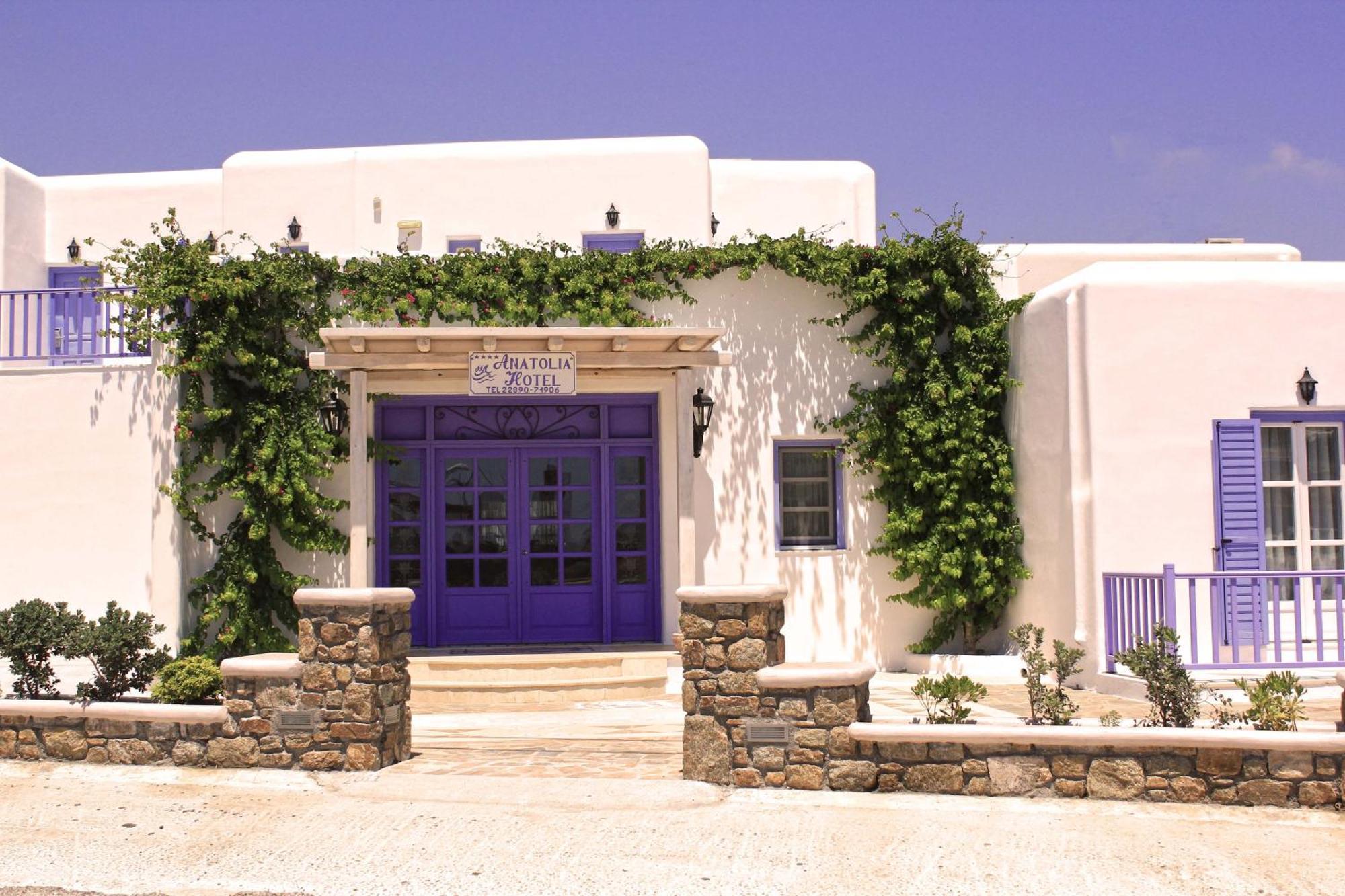 Hotel Anatolia Ano Mera Extérieur photo